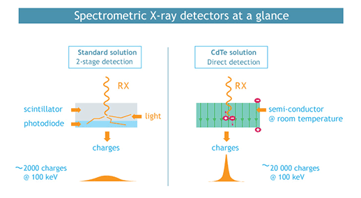 xray-detectors-at-a-glance